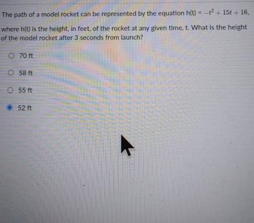 Help please with this question​