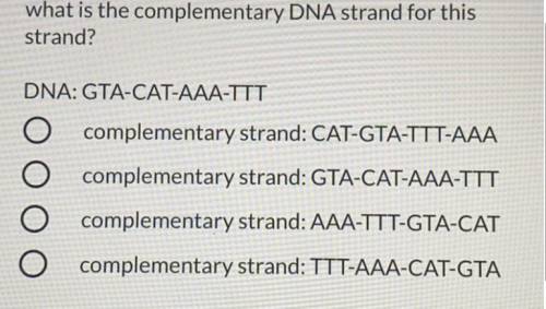 What is the complementary DNA strand for this

strand?
DNA: GTA-CAT-AAA-TTT
O complementary strand