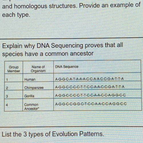 Explain why DNA Sequencing proves that all species have a common ancestor