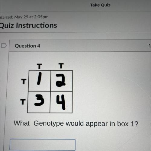 What genotype would appear in box 1?