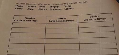 Hey I know this looks easy but

Can somebody plz help tell me where to put the organisms in the co