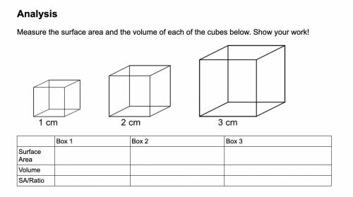 ( Why are cells so small )

What is the volume of box 1?
What is the surface area of box 2?
What i