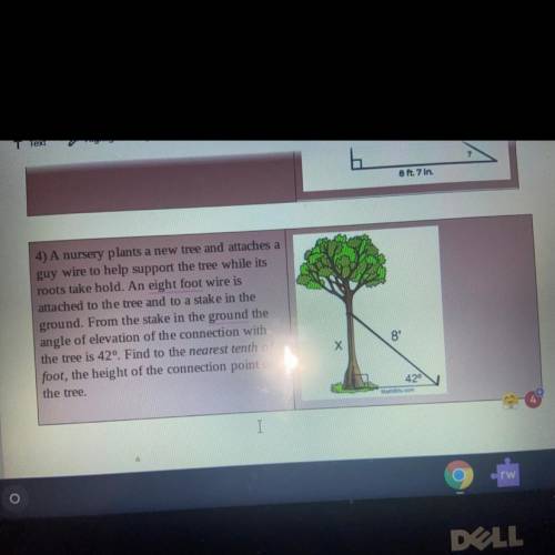 Could you help ? It says “ a nursery plants a new tree and attaches a guy wire to help support the
