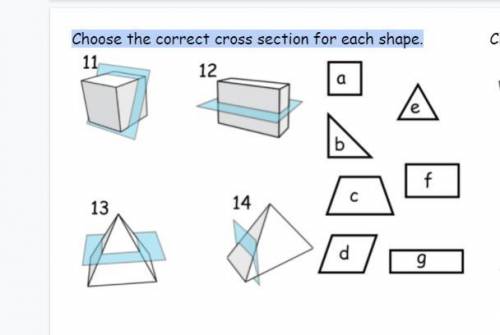 Choose the correct cross section for each shape.