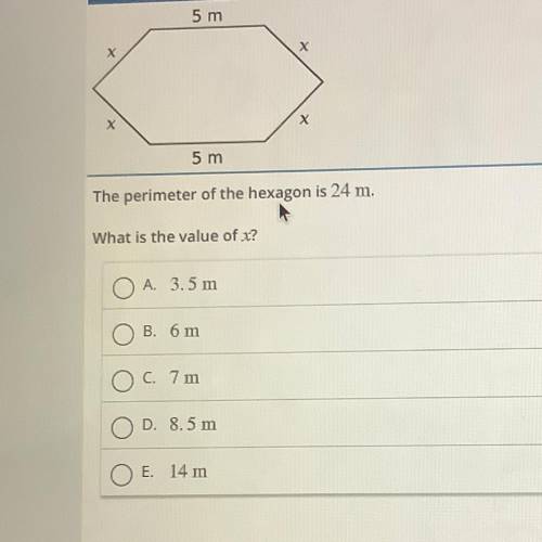 The perimeter of the hexagon is 24 m.
What is the value of x?