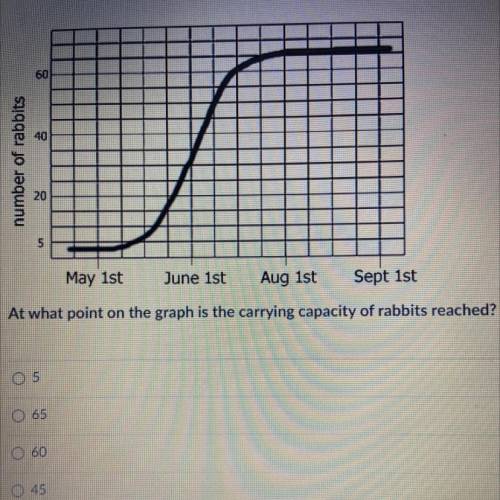 At what point on the graph is the carrying capacity of rabbits reached?