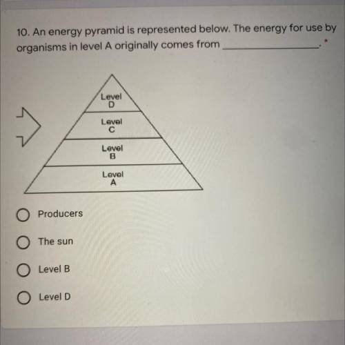 An energy pyramid is represented below. The energy for use by

organisms in level A originally co