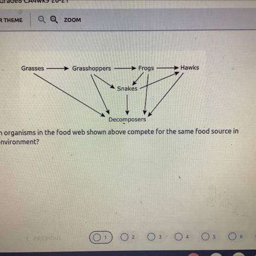 Which organisms in the food web shown above compete for the same food source in

this environment?