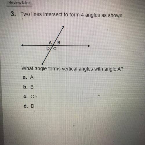 Need help with the answer??