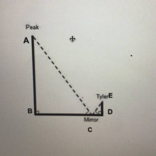HELP PLEASE 

3. According to the information given, what can you determine about the triangl