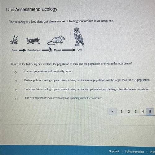 Someone please help me answer this, I need help