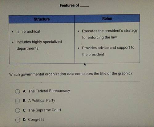 Features of Structure Roles • Is hierarchical • Executes the president's strategy for enforcing the