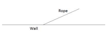 A 7 m rope is attached to the wall of a garage. A dog’s collar is attached to the rope, allowing th