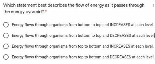 Which statement best describes the flow of energy as it passes through the energy pyramid?