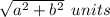 \sqrt{ {a}^{2} +  {b}^{2}  }  \:  \: units