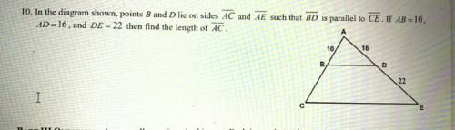 Can someone please answer this question I’m struggling with it and don’t know the answer. Thank you