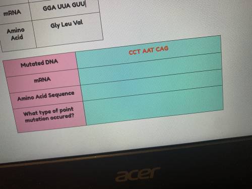 Using the original DNA transcription complete all boxes in blue
