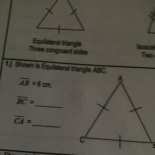 1.) Shown is Equilateral triangle ABC.
AB = 6 cm.
BC
11
CA E
В
