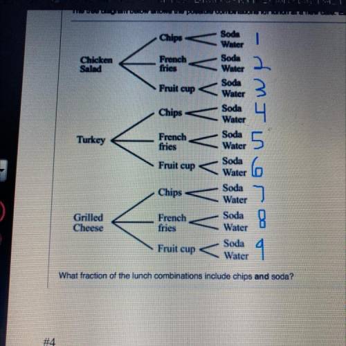 The tree diagram below shows the possible combinations for lunch at a new cafe Each customer choose