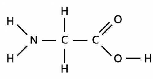 Examine the representation of a glycine molecule. What is represented in the image?