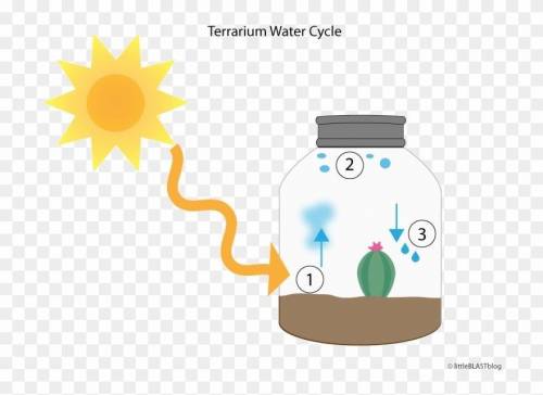 Look at the diagram of the water cycle model above.

What is one part of the water cycle that is m