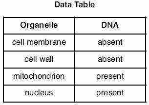 The data table below shows the presence or absence of DNA in four different cell organelles.

Info