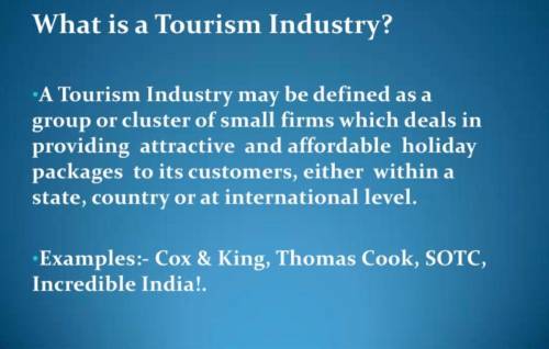 What is tourism industry?​