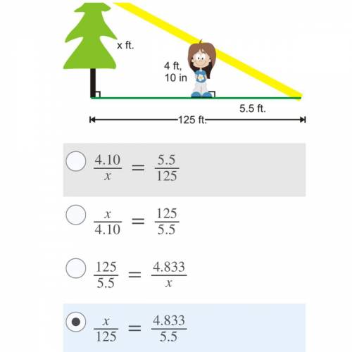 Which of the following proportions would allow you to find the height of the tree shown below? (Hin