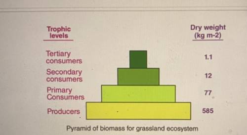HELP PLS!

A biomass pyramid for a typical grasstand ecosystem is shown here. What explains the ch