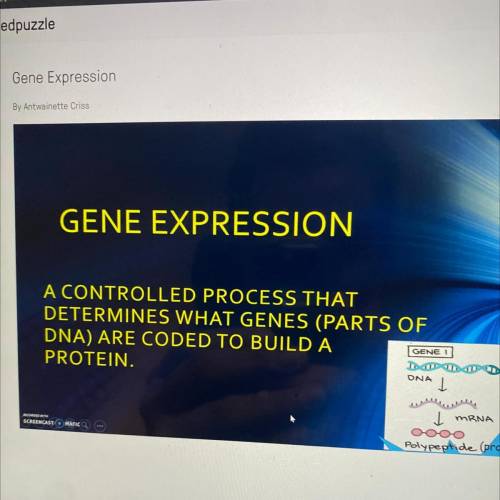 The segment of DNA that is being transcribed (in this video) is the....

A. dark part
B. both sect