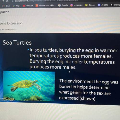 Which statement regarding sea turtles is TRUE?

A. Eggs exposed to warmer temperatures will produc
