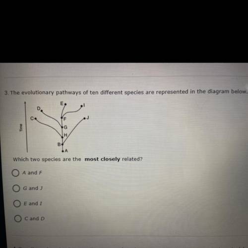 3. The evolutionary pathways of ten different species are represented in the diagram below.

E
D
F