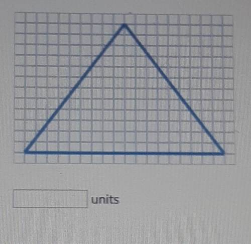 What is the perimeter of the triangle?​