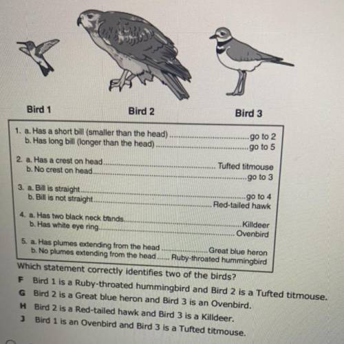 Students were asked to identify the following birds using the classification key shown.

Bird 1
Bi