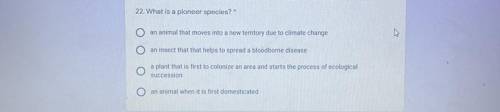 What is a pioneer species? (Will give brainiest)