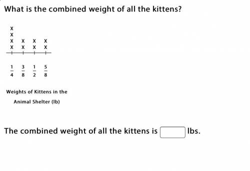 What is the combined weight of all the kittens ?pls help
