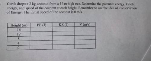 PLEASEEEE ANSWERRR THIS

curtis drops a 2kg coconut from a 16 m high tree. determine the potential