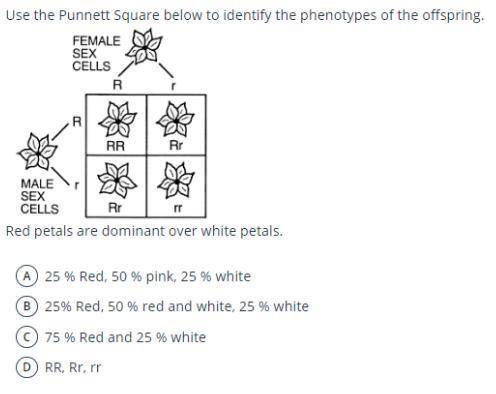 What would be the percentages?