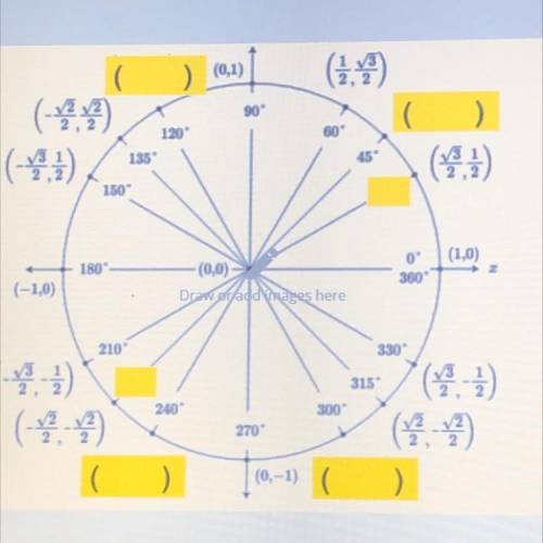Fill in the blanks on the unit circle.