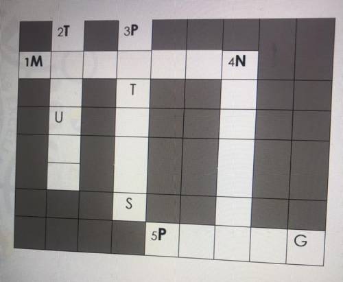 Cross Word Puzzle,answer please.