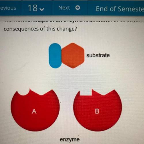 Plz help me this is for a test i’m taking right now.

The normal shape of an enzyme is as shown in
