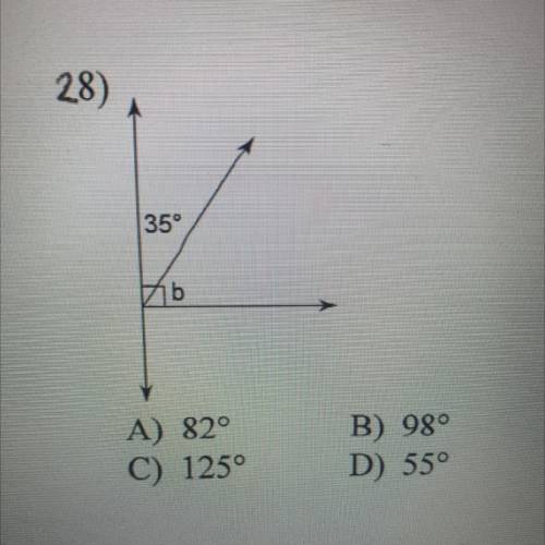 Find the measure for angle b