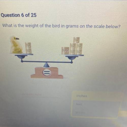 What is the weight of the bird in grams on the scale below?
110
10110
10
100 110 10