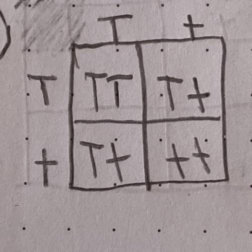 How would I Write the Genotype ratio for this Punnette Square? :)