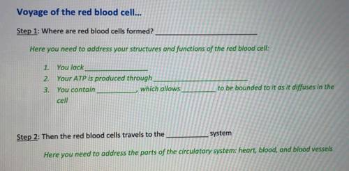 HEELP I have to include the terms and fill in the blanks - Journey of a red blood cell
