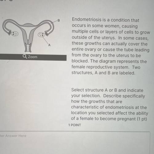 A Endometriosis is a condition that occurs in some women , causing multiple cells or layers of cell