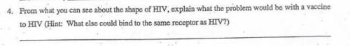 From what you can see about the shape of HIV, explain what the problem would be with a vaccine to H