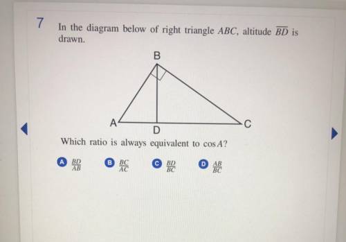 Does someone know what the answer is? Help, please!