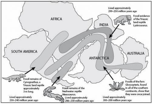 Fossil evidence has been used to understand the movement of continental plates. The figure below sh
