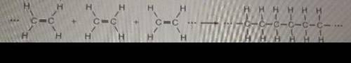 Given this equation

 
Which type of reaction is represented by this equation?
A) Esterification
B)